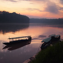The Amazon