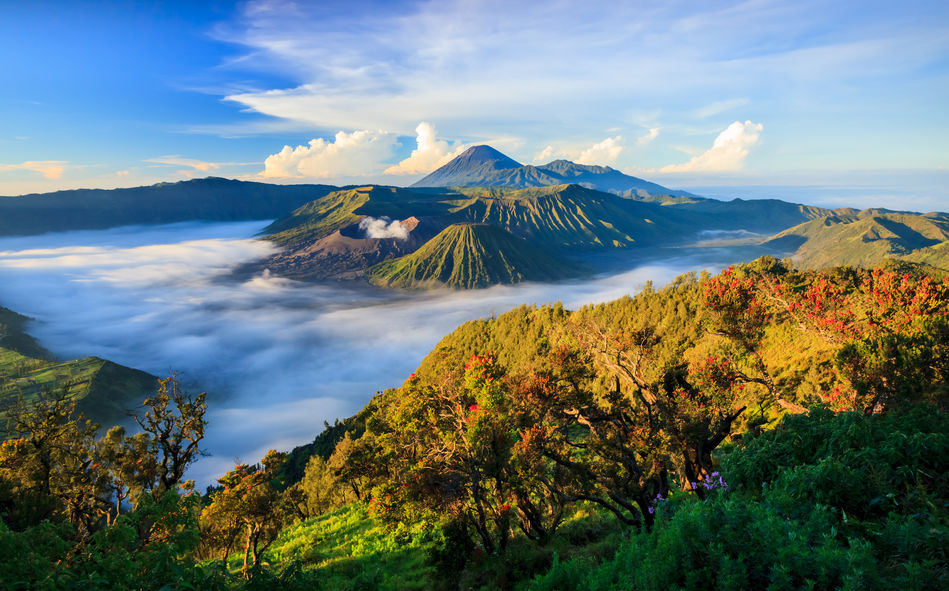 Sunrise at Borobudur, Java, Indonesia