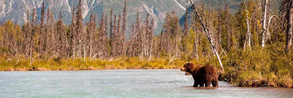 Why visit Alaska on Seabourn?