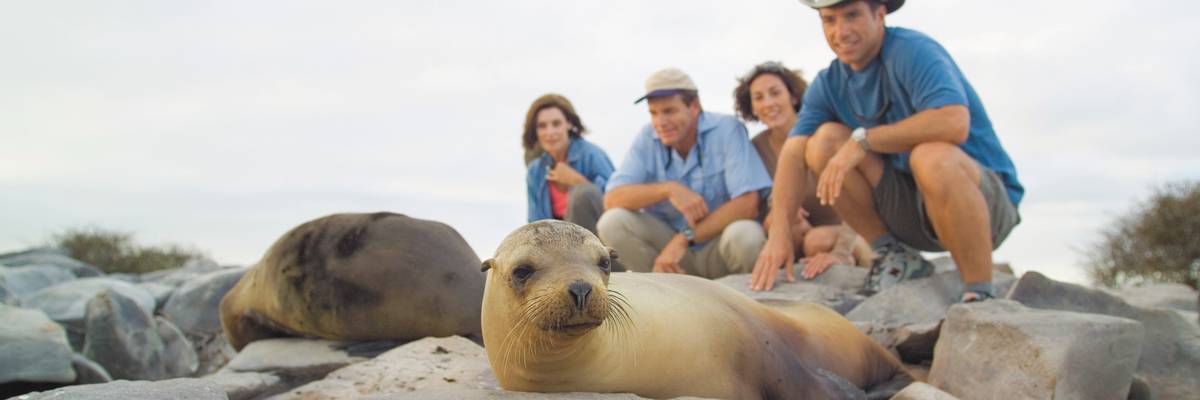 Galapagos the Celebrity Way