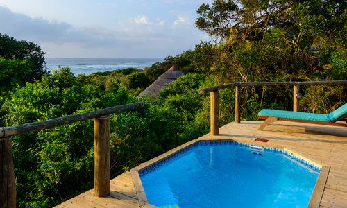 Deluxe_Ocean_View_Suite_pool_landscape_1, Thonga Beach Lodge, South Africa