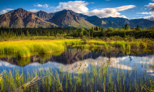 Denali National Park, Alaska