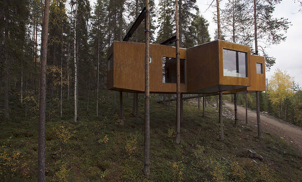 Dragonfly Room, Treehotel in Swedish Lapland