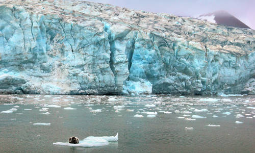 The best summer excursions on Svalbard