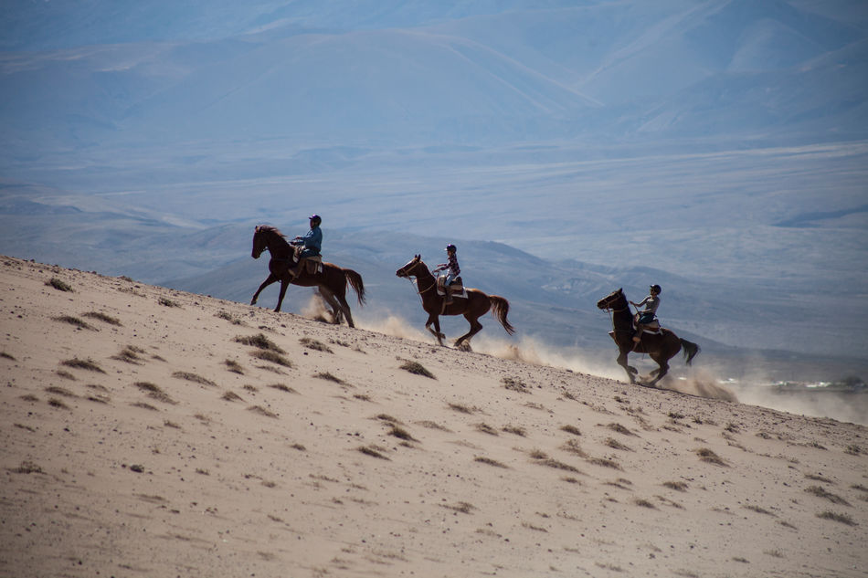 Horse riding, explora Atacama