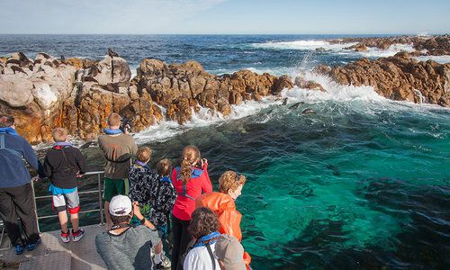 Grootbos, Hermanus, Whale Coast