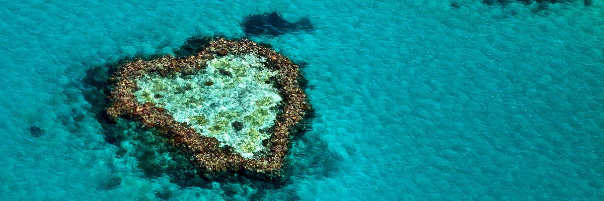 Heart Shaped Reef, Great Barrrier Reef