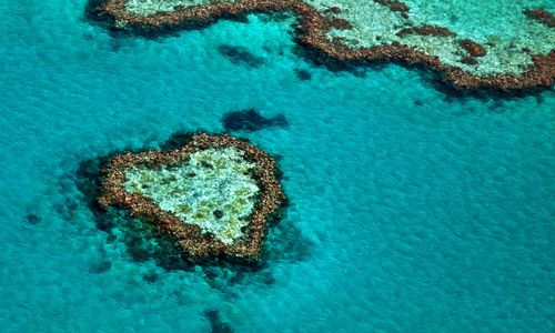 Heart Shaped Reef, Great Barrrier Reef