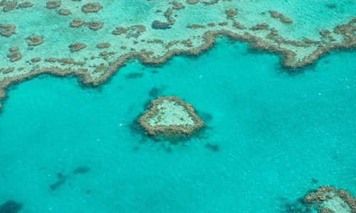 Heart Shaped Reef, Great Barrrier Reef