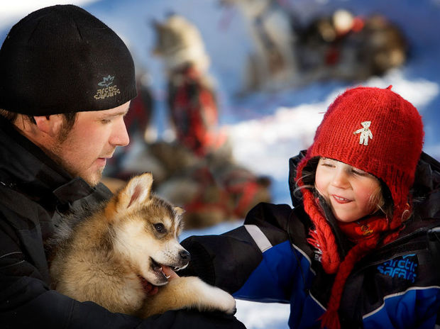 Husky sledding puppies in Saariselka, Finnish Lapland