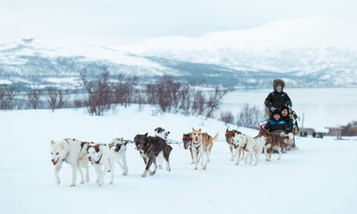 Just back from Tromso