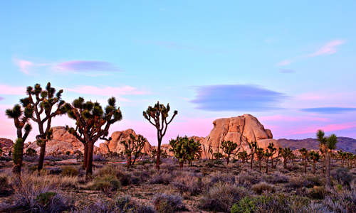 Joushua Tree National Park, Greater Palm Springs, California