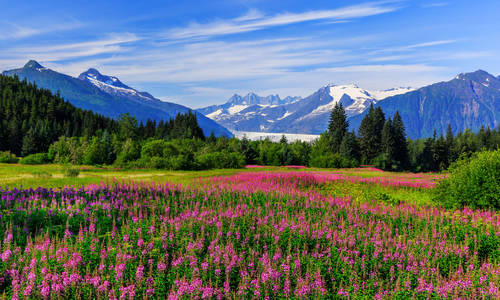 Juneau, Alaska