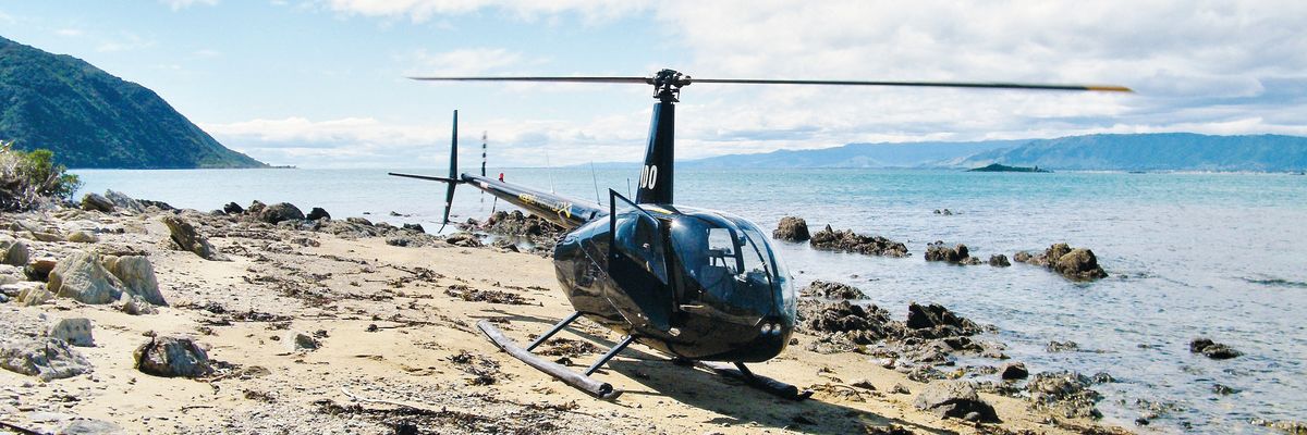Kapiti Coast Experience