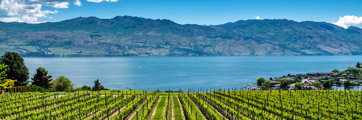 British Columbia's coast, mountains & wine regions self-drive