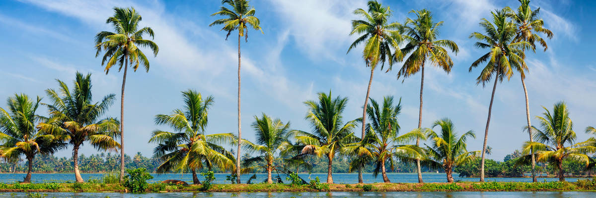 Kerala Backwaters River Cruise Review