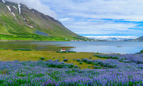 Isafjordur town, in the west fjords region, Iceland