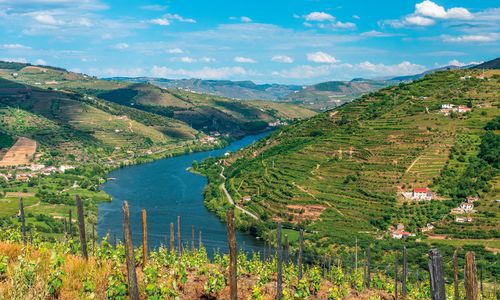 Landscape of the Douro river region