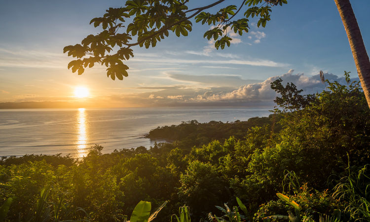 Lapa Rios Ecolodge