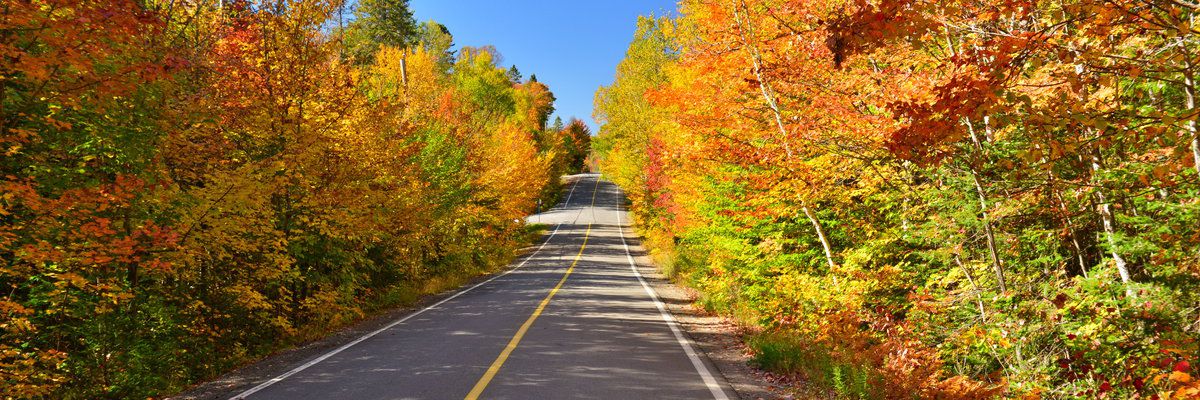 Laurentian Mixed Forest Province, Québec