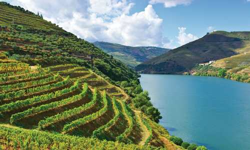 Portugal's Douro River Valley aboard MS Estrela, APT Travelmarvel