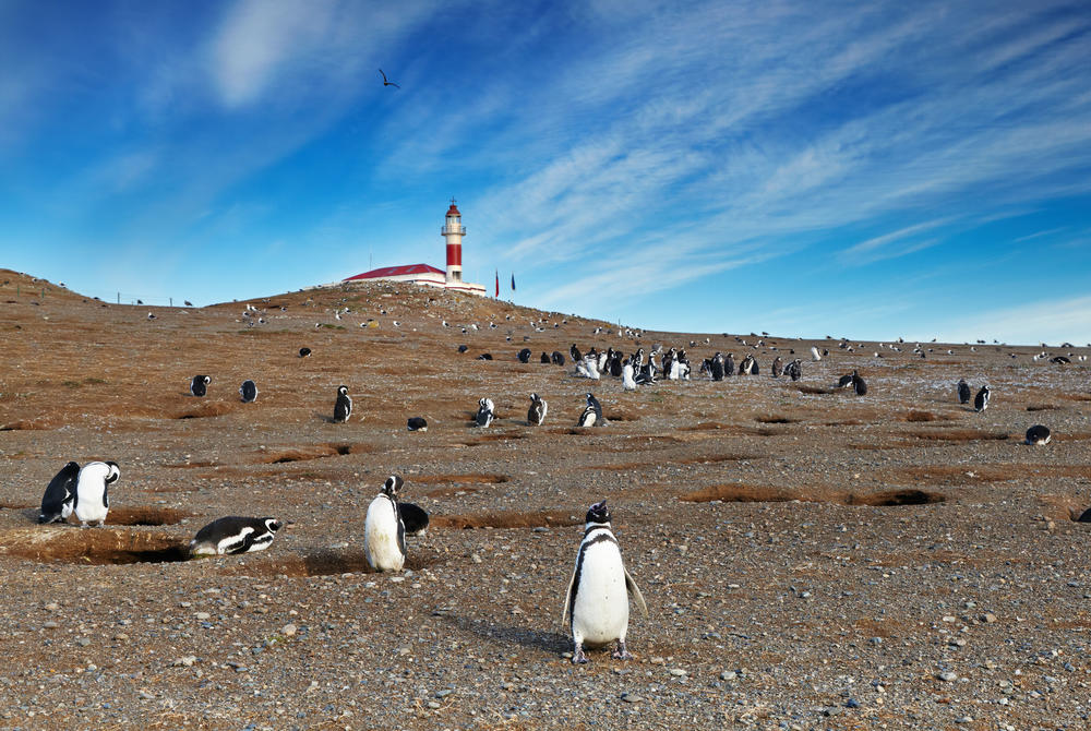 Punta Arenas, Chile