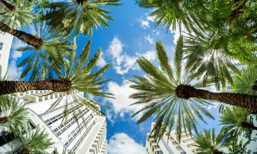 Miami