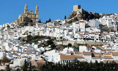 Olvera
