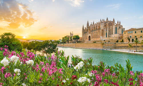 Palma Cathedral, Mallorca with its gothic style and colourful flowers at sunset