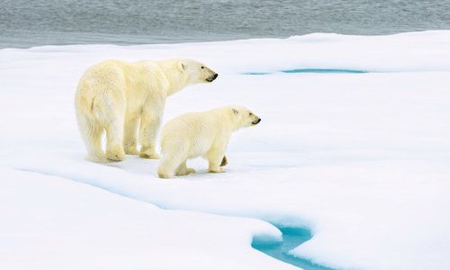 Svalbard
