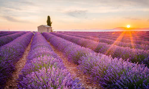 Provence, France