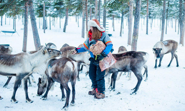 Meeting the reindeer near ICEHOTEL