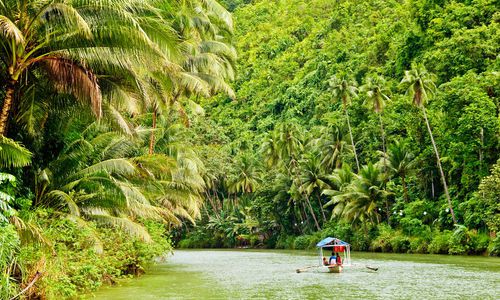 Rainforest River, Amazon, Brazil