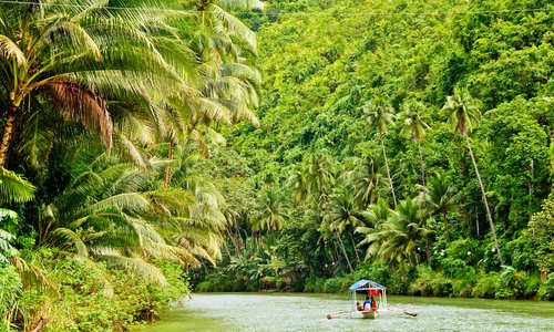 Rainforest River, Amazon, Brazil
