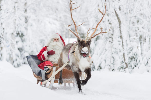 Santa reindeer ride in Finnish Lapland