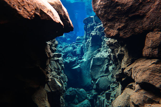 Snorkelling in Thingvellir National Park's Silfra Fissure