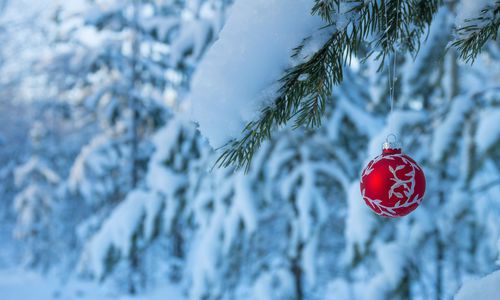 How to make Santa holidays work for the whole family