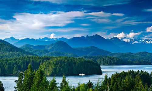 Tofino, Vancouver Island, British Columbia, Canada