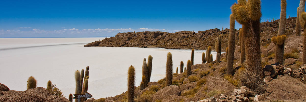 Best of Bolivia