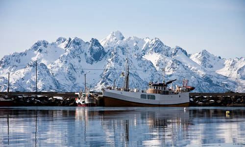Fjord cruise with swim and sauna