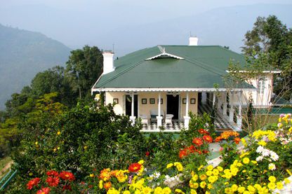 Water Lily Bungalow from above, Glenburn Tea Estate