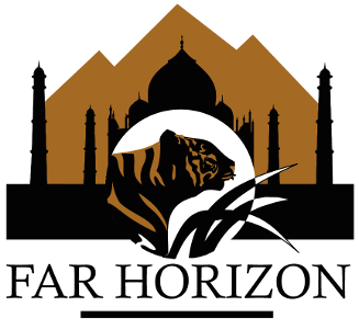 Far Horizon Tours