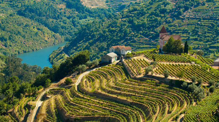 Douro Valley, Portugal