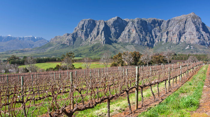 Cape Winelands, South Africa