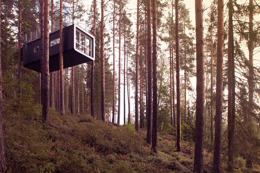 Tree hotel