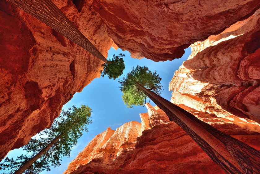 Bryce Canyon, Utah, USA