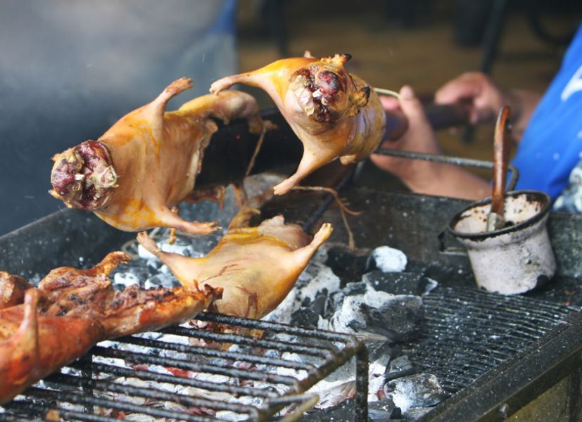 Cuy, guinea pig, Latin America traditional food