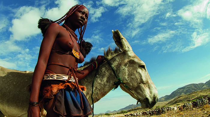 Himba cattle herder