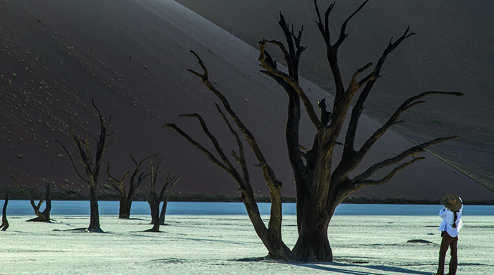 Dead Vlei